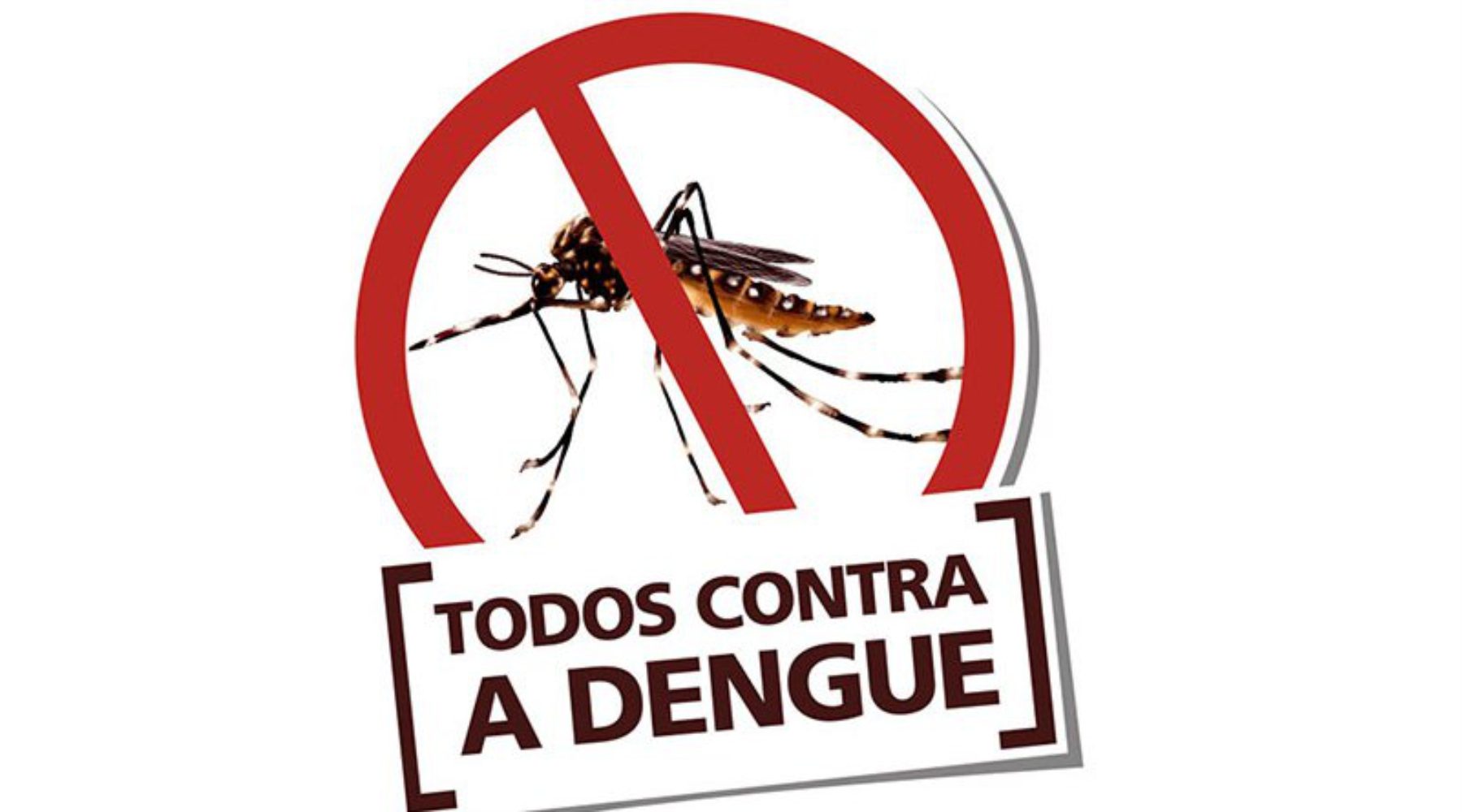 Chuvas de dezembro acendem alerta para dengue